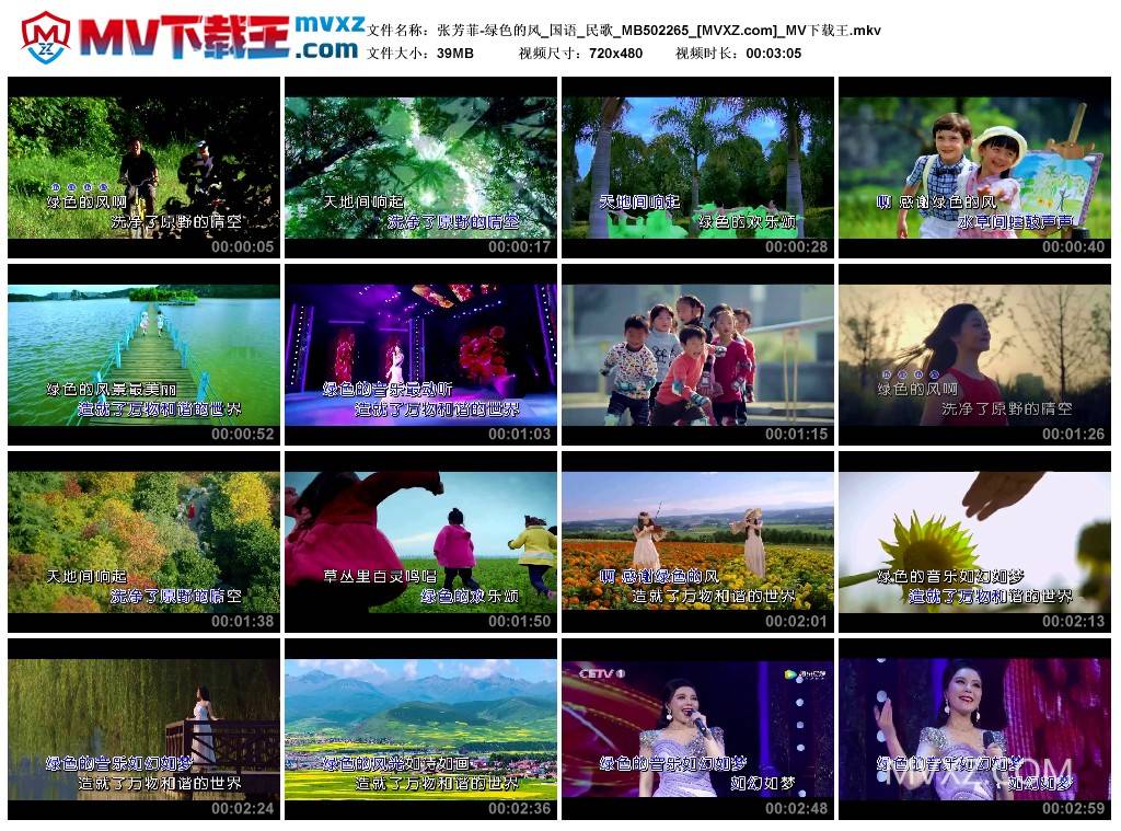 张芳菲-绿色的风_国语_民歌_MB502265